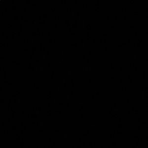 Meet your Posher, Quin